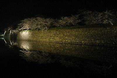 姫路城夜桜会「花あかり」