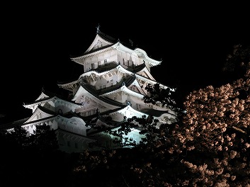 ライトアップされた姫路城