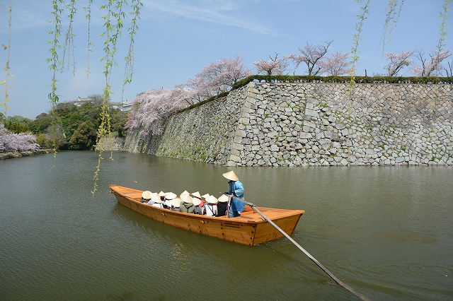 姫路城の桜　和船