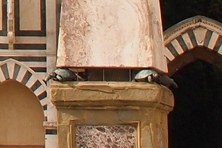 サンタ・マリア・ノヴェッラ広場のオベリスク